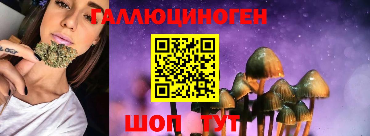Псилоцибиновые грибы Magic Shrooms  Вход с VPN  Михайловка 